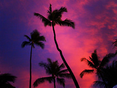 ハワイ画像／ハワイのトワイライト